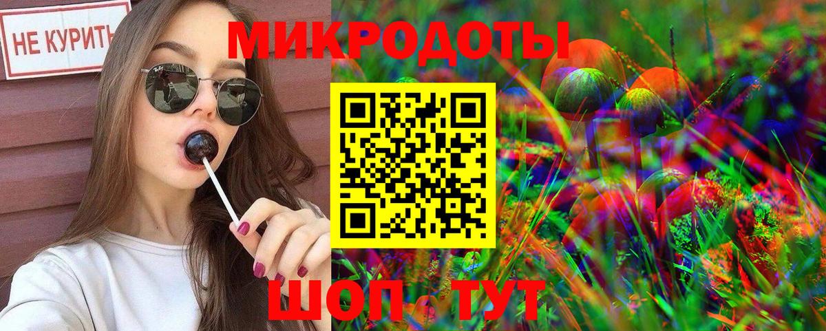 Галлюциногенные грибы Psilocybine cubensis Сланцы